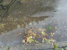 Foto: Beuststraße Abwasser-Gulli ist verstopft, Regenwasser überflutet die Straße 